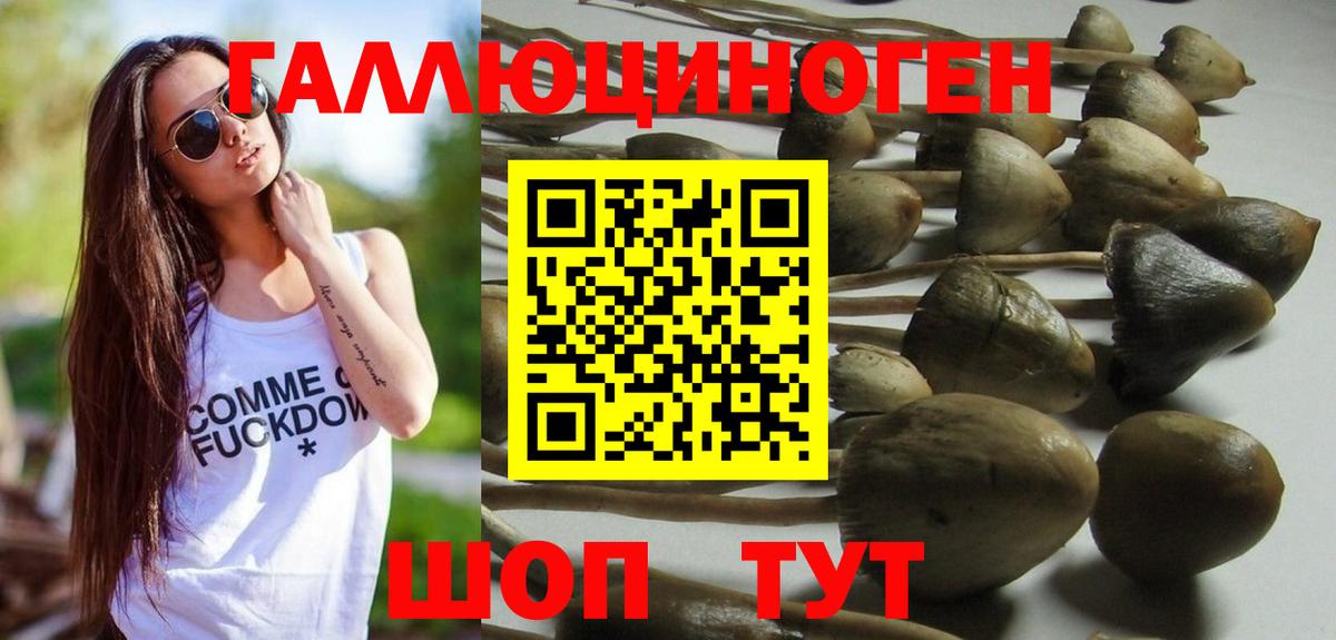 Галлюциногенные грибы мухоморы  Вход с VPN  Галлюциногенные грибы Cubensis  Тосно 